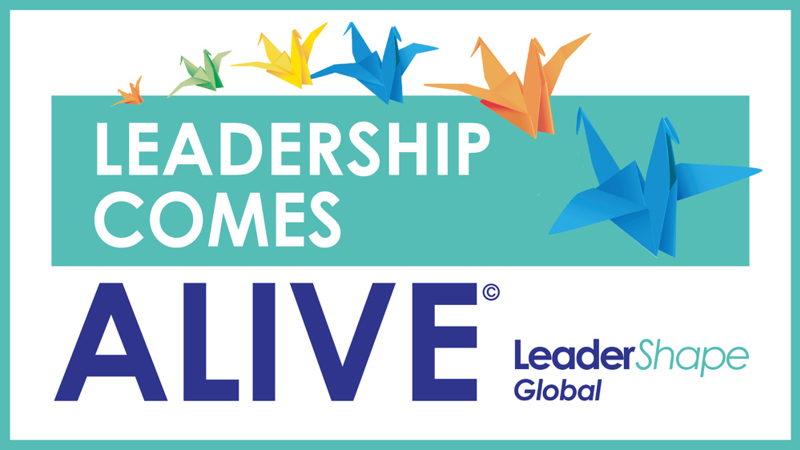 Leadershape Global Ltd image