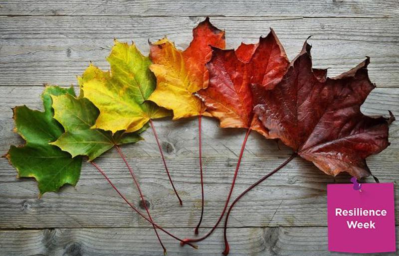 Employee Benefits Magazine image