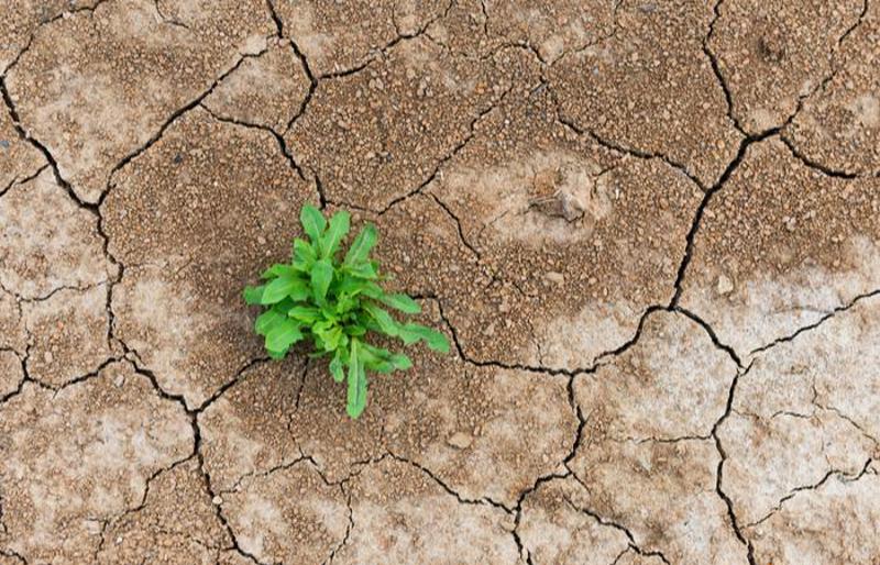 Employee Benefits Magazine image