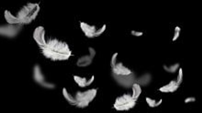 People Matters image