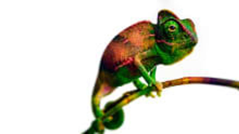 People Matters image