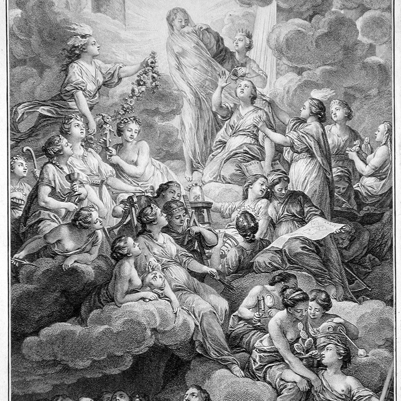 Workplace Insight image