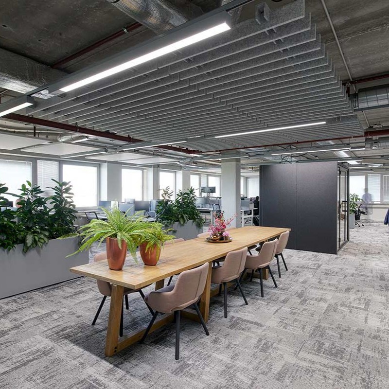 Workplace Insight image