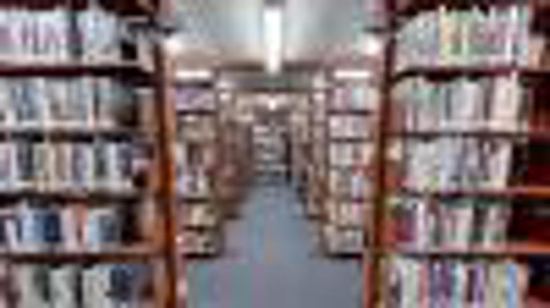 Stephen Downes image