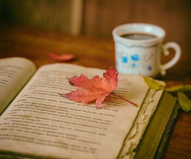 Human Resources Today image