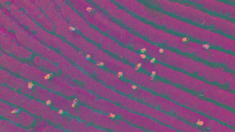 Personnel Today image