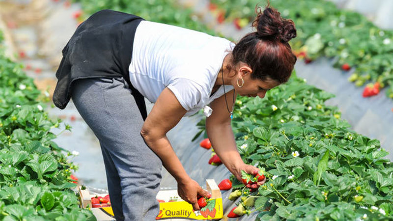 Personnel Today image