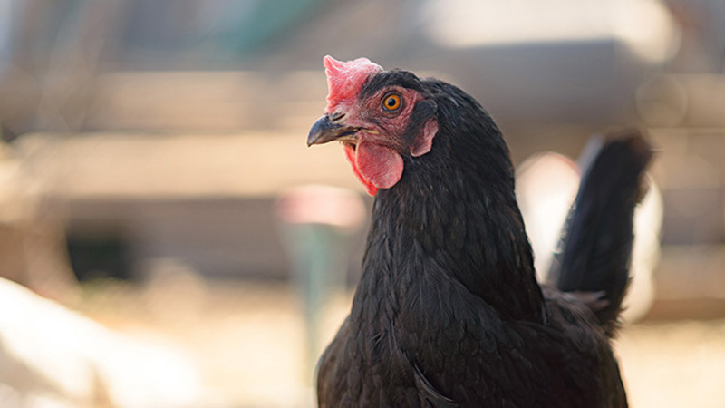 Personnel Today image