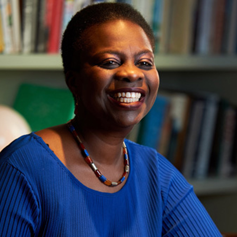 The HR Director image