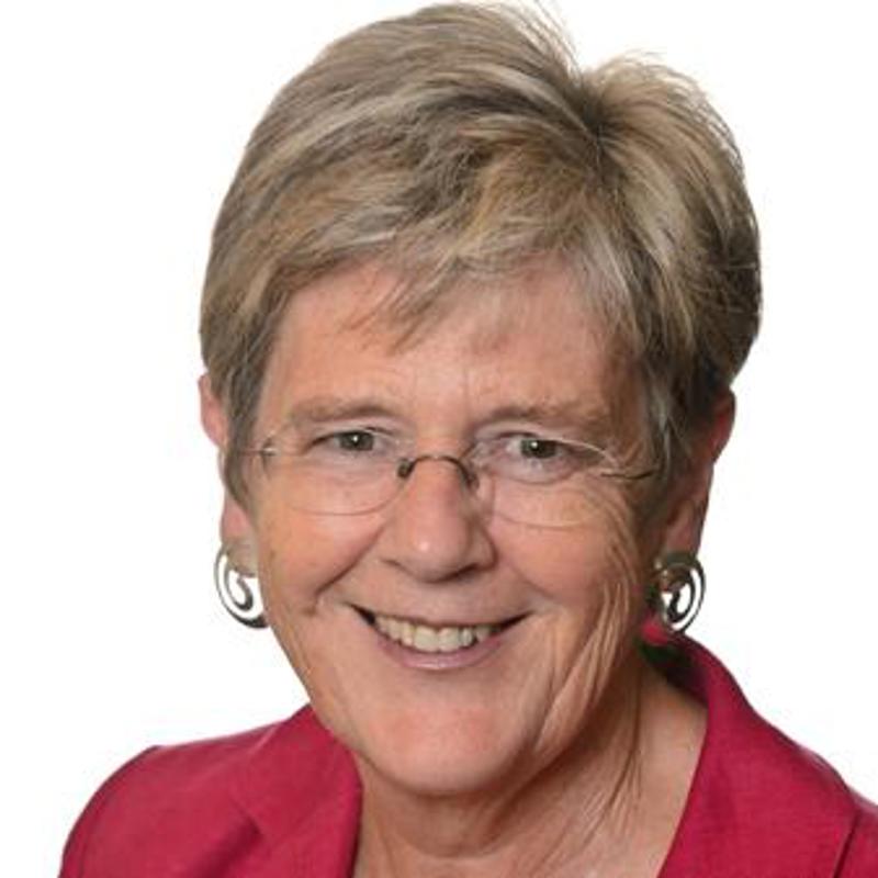 The HR Director image