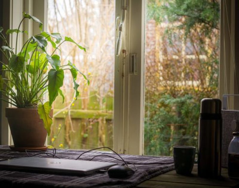 The HR Director image