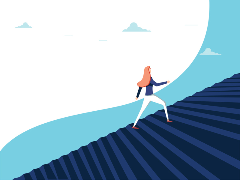 The Training Zone image