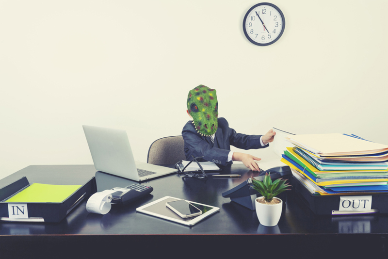 The Training Zone image