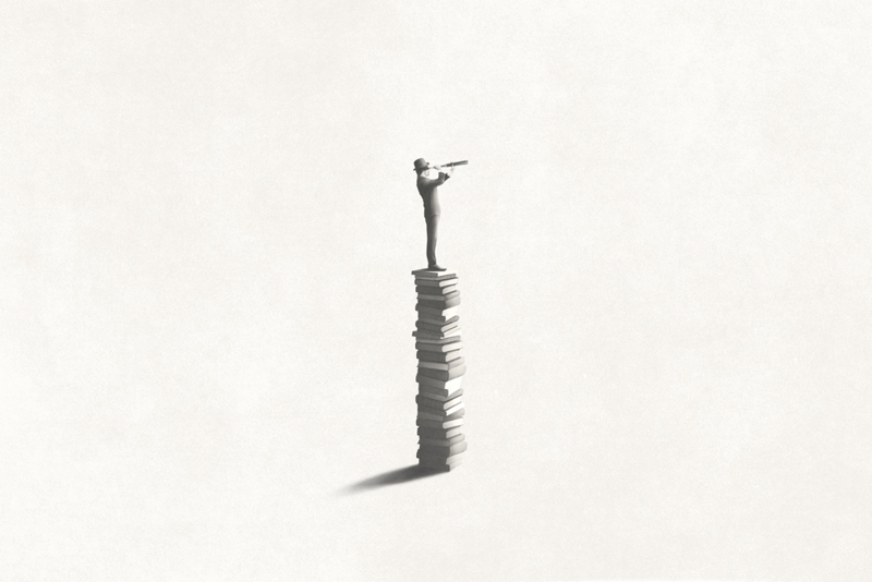 The Training Zone image