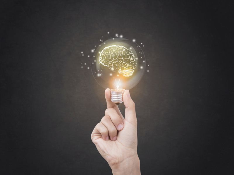 The Training Zone image